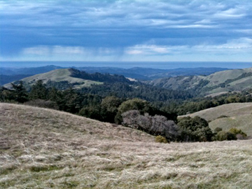 View toward the Pacific